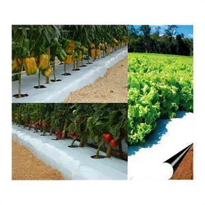 MULCHING 1 X 1000MT PRETO.BRANCO S.E