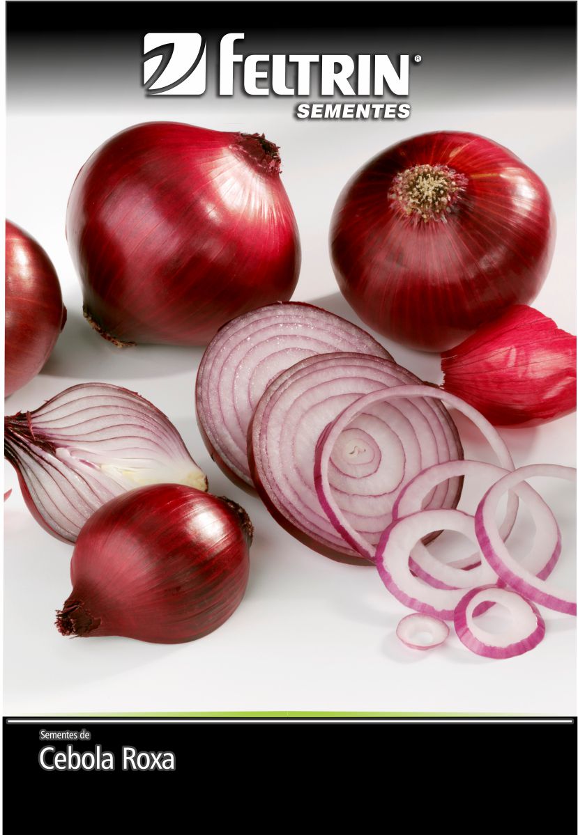 SEM CEBOLA CRIOULA ROXA - GOLDEN