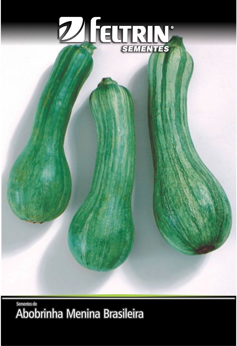 SEM ABOBRINHA MENINA BRASILEIRA PRECOCE - BOX