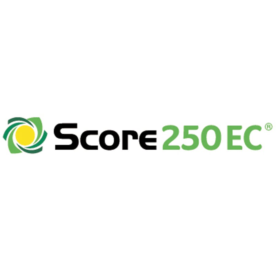 SCORE 250 EC 12X1 LT