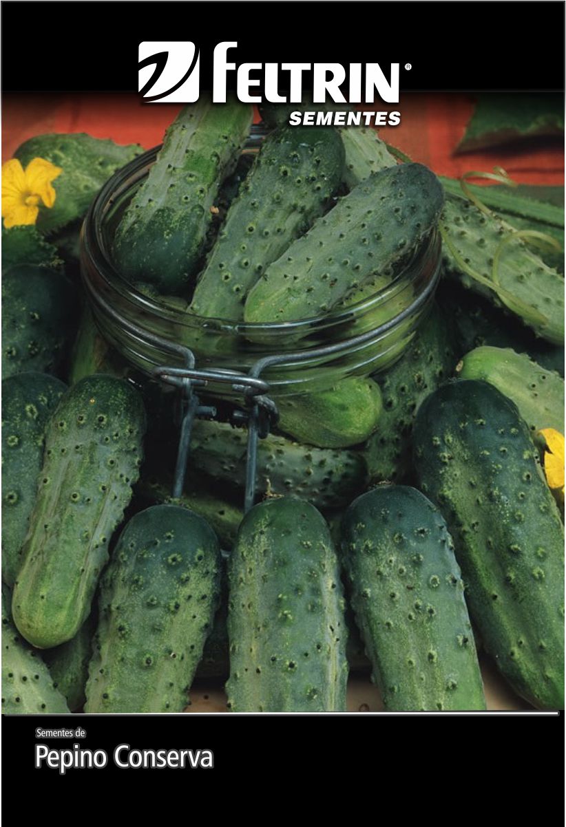 SEM PEPINO CONSERVA WISCONSIN SMR-58 - BOX