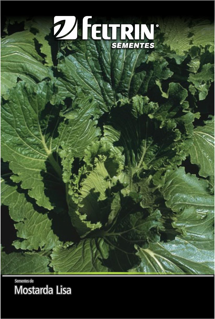 SEM MOSTARDA LISA DA FLORIDA - GOLDEN