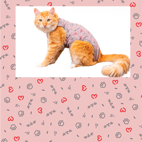 ROUPA POS CIRURGICA GATO  TAM 4