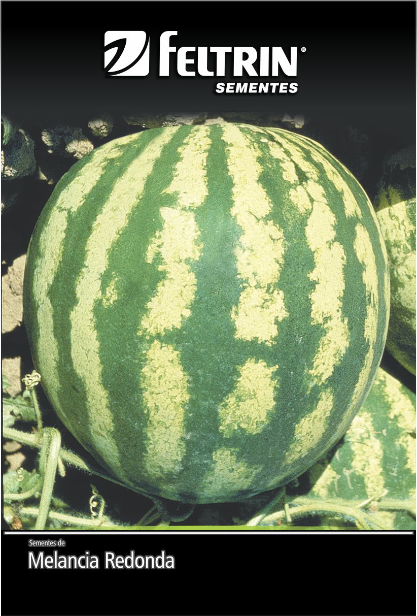 SEM MELANCIA CRIMSON SWEET - ECONOMICA