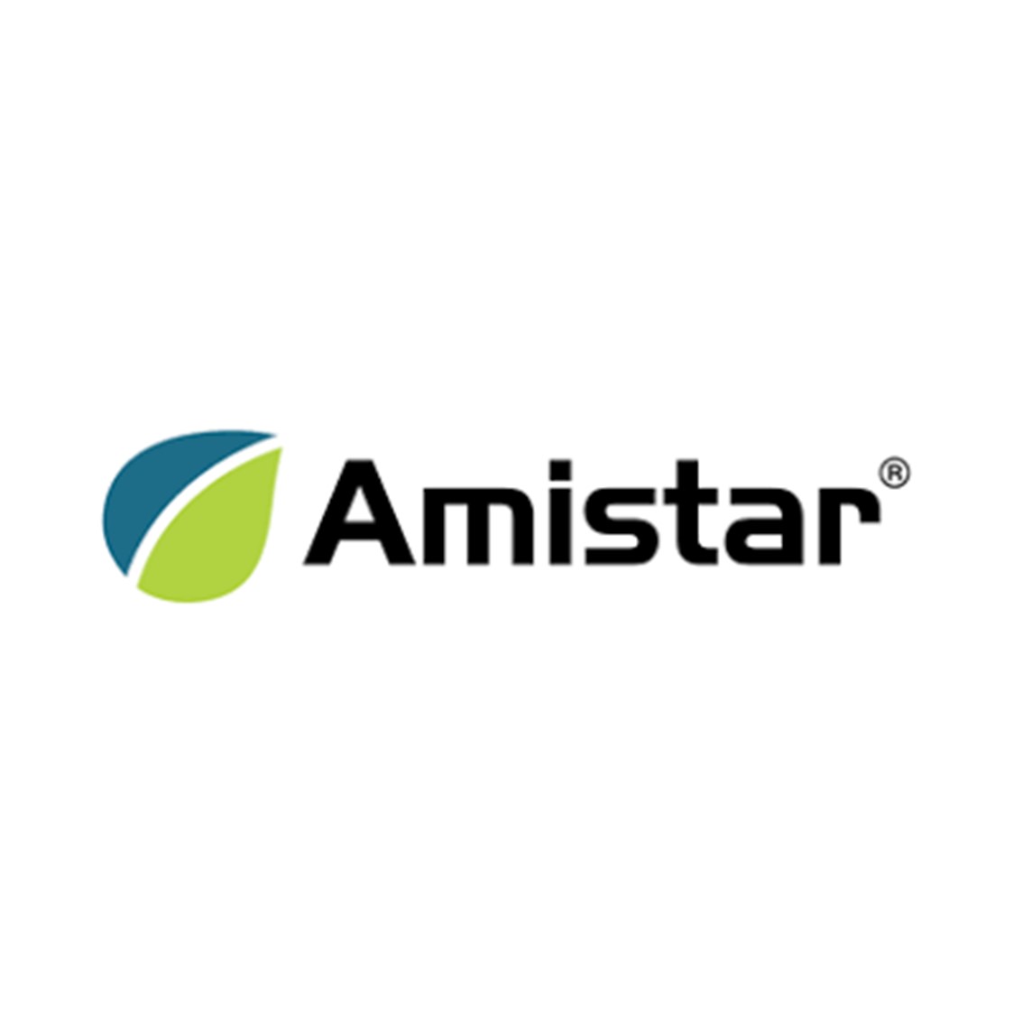 AMISTAR WG 6X500 GR