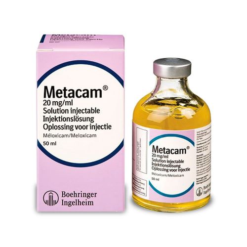 METACAM SOL INJ 20MG/ML 50ML VET BR