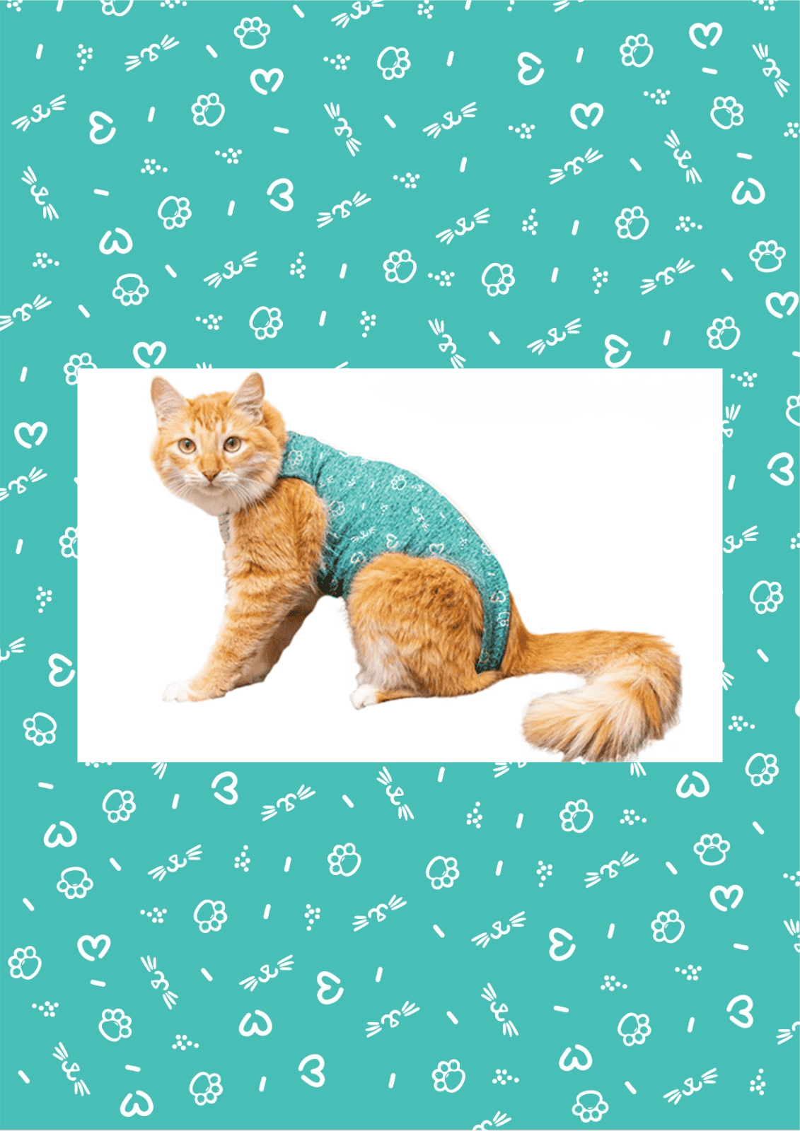 ROUPA POS CIRURGICA GATO  TAM 3