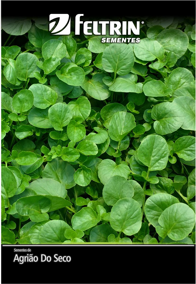 SEM AGRIAO TOPAZIO - GOLDEN