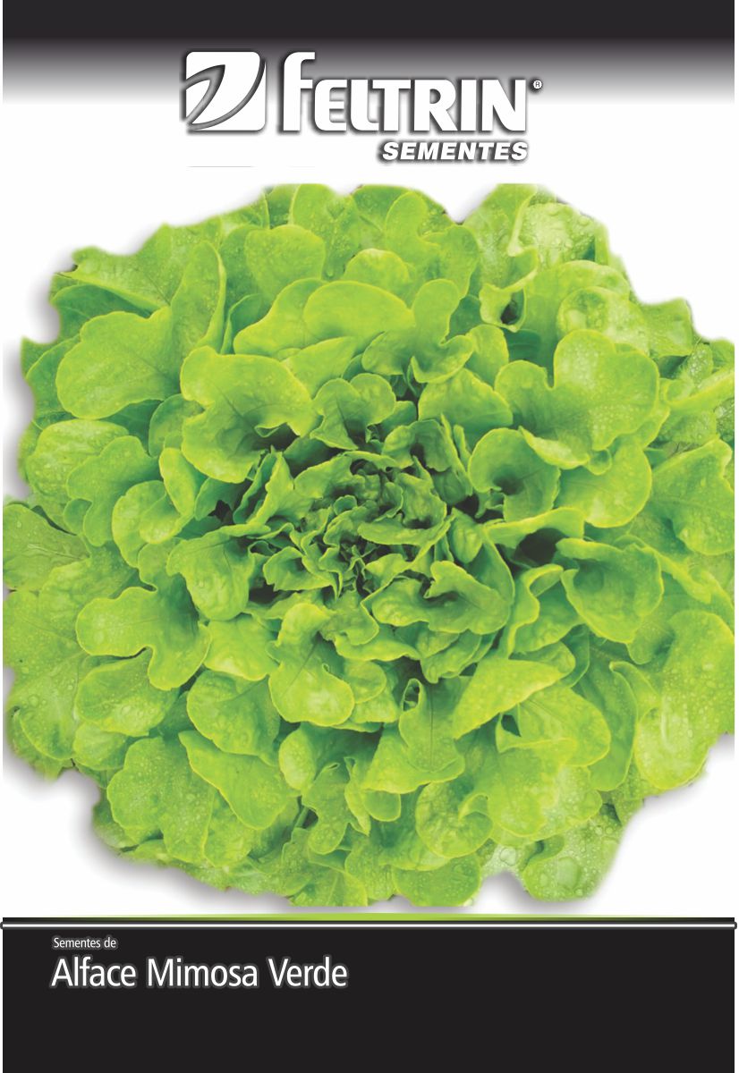 SEM ALFACE GIOVANA - ECONOMICA