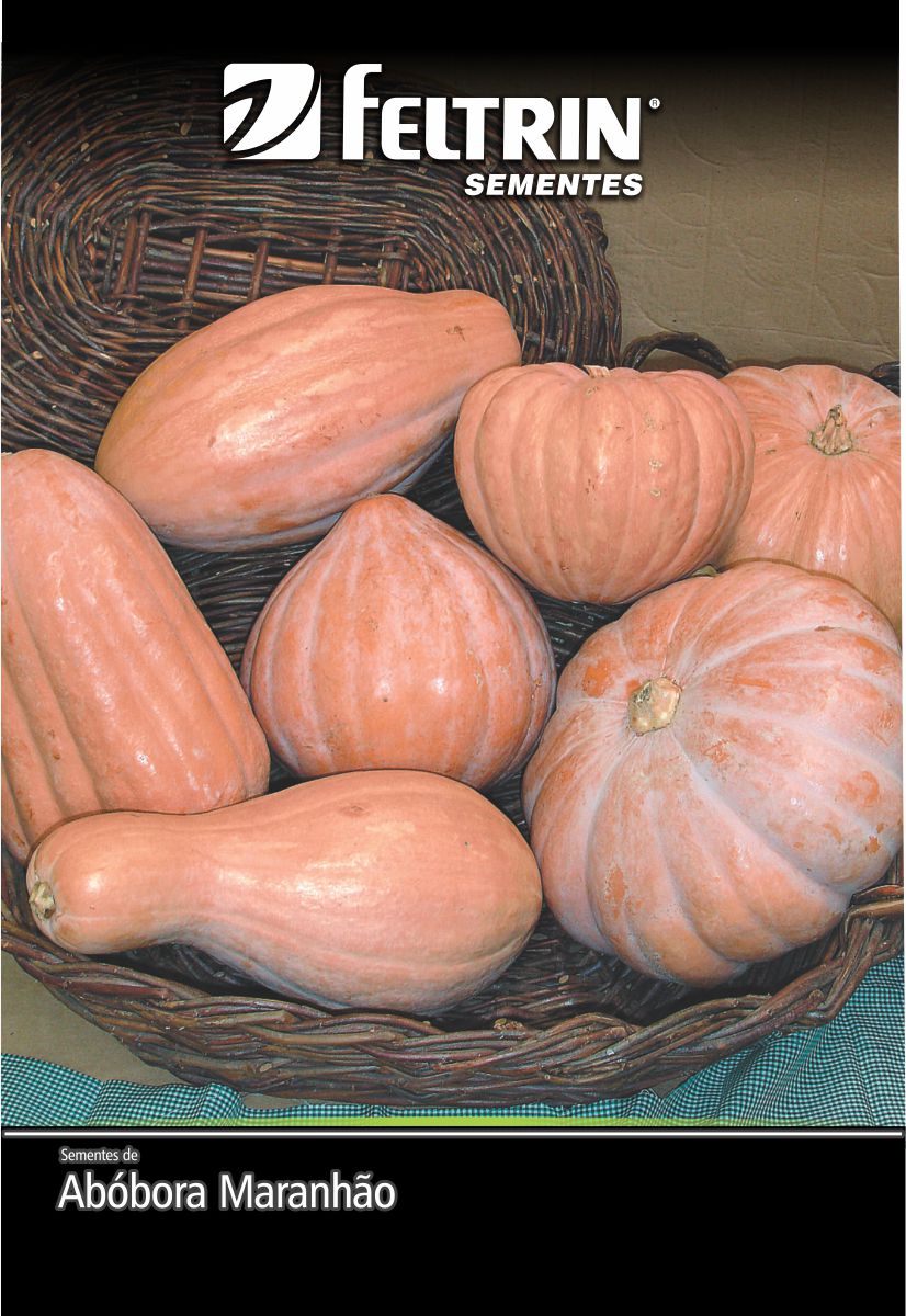 SEM ABOBORA MARANHAO - GOLDEN