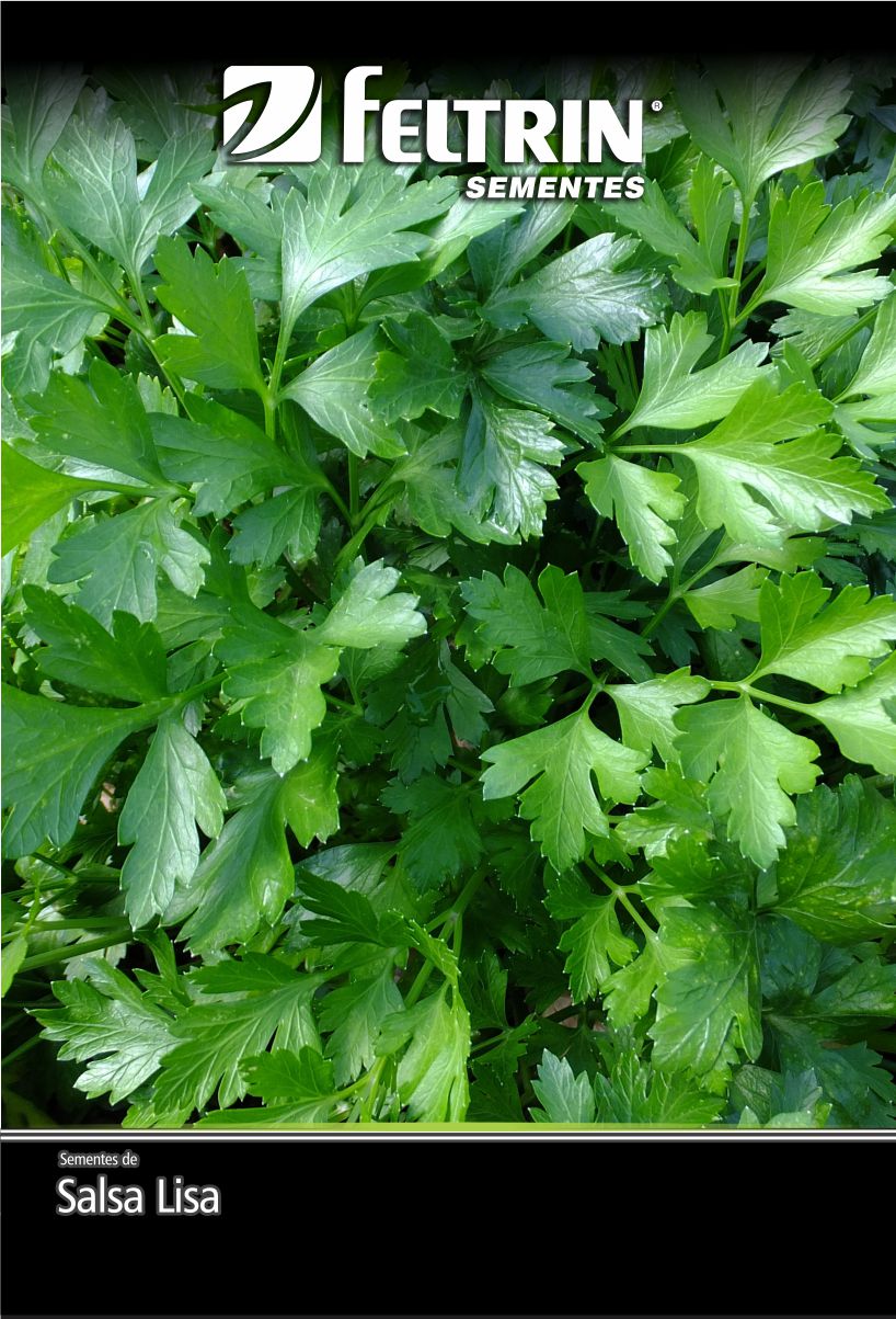 SEM SALSA LISA 500 G