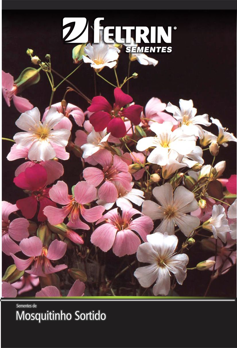 SEM MOSQUITINHO SORTIDO - GOLDEN  SOB ENCOMENDA