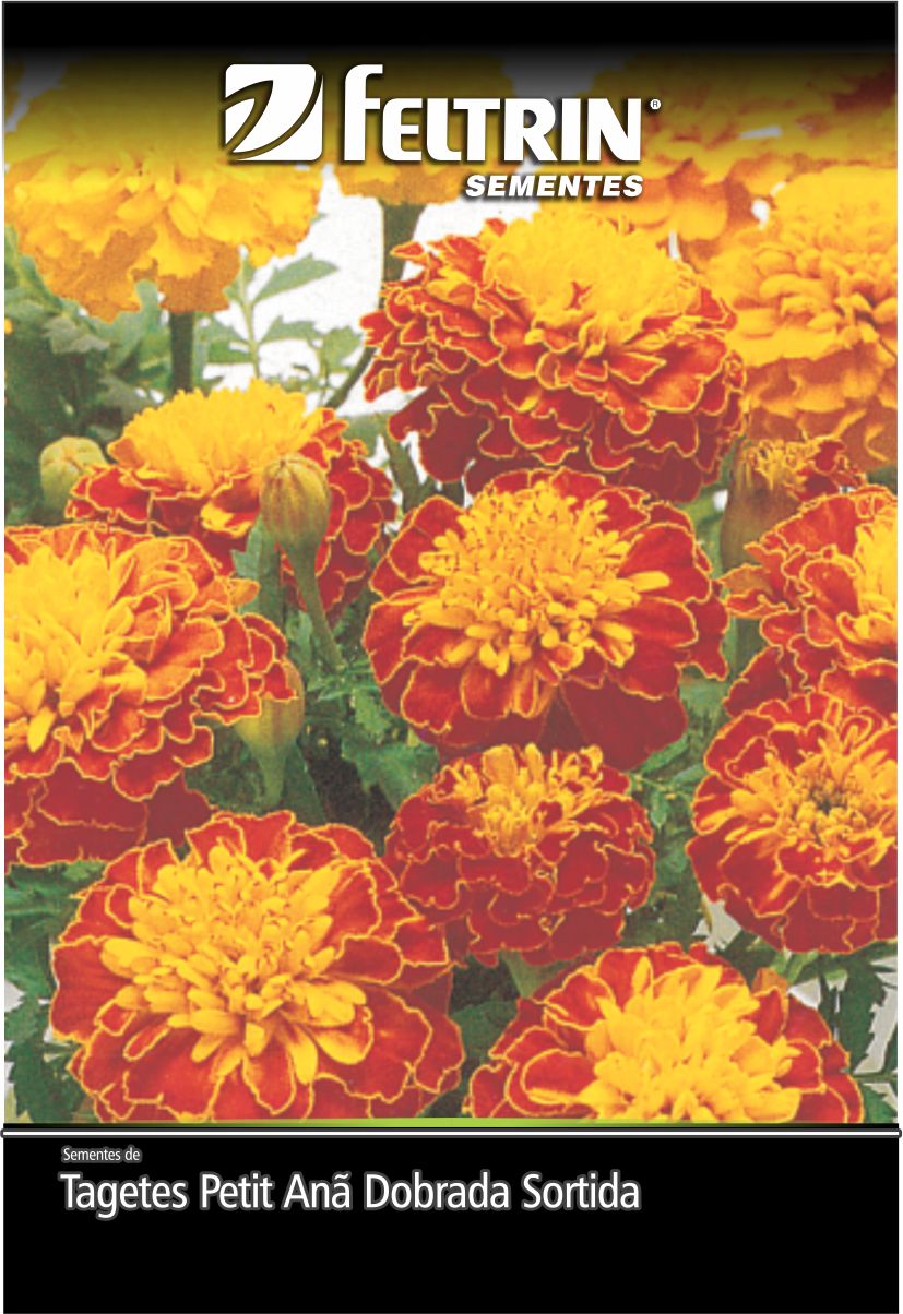 SEM FLOR TAGETES PETIT ANA DOBRADA SORTIDA - GOLDEN