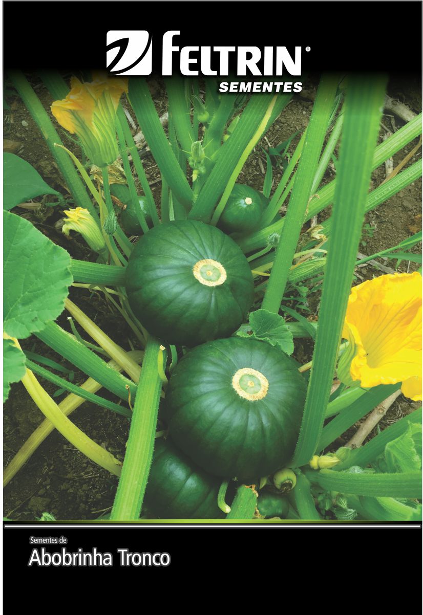 SEM ABOBRINHA DE TRONCO REDONDA VERDE - ECONOMICA