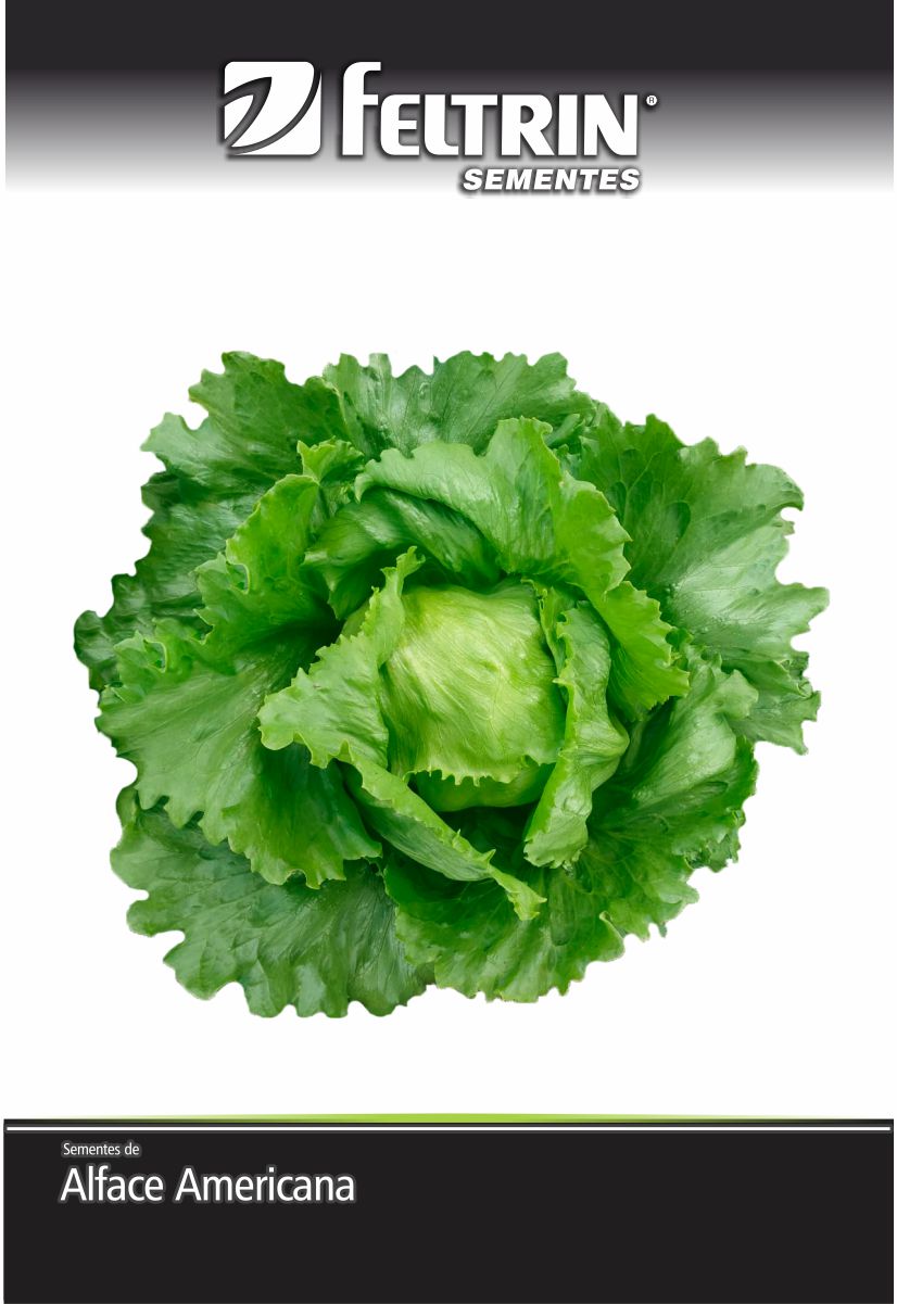 SEM ALFACE RAFAELA-AMERICANA - GOLDEN