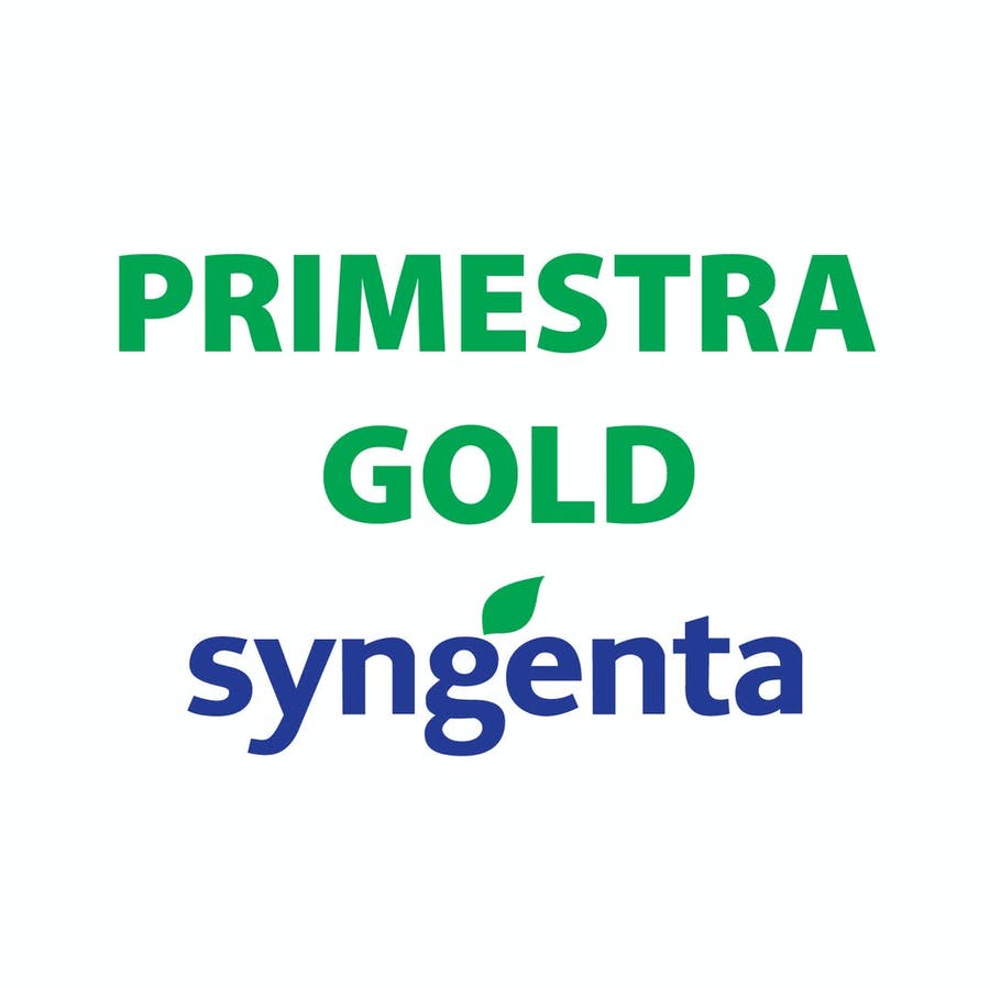 PRIMESTRA GOLD 4X5 LT