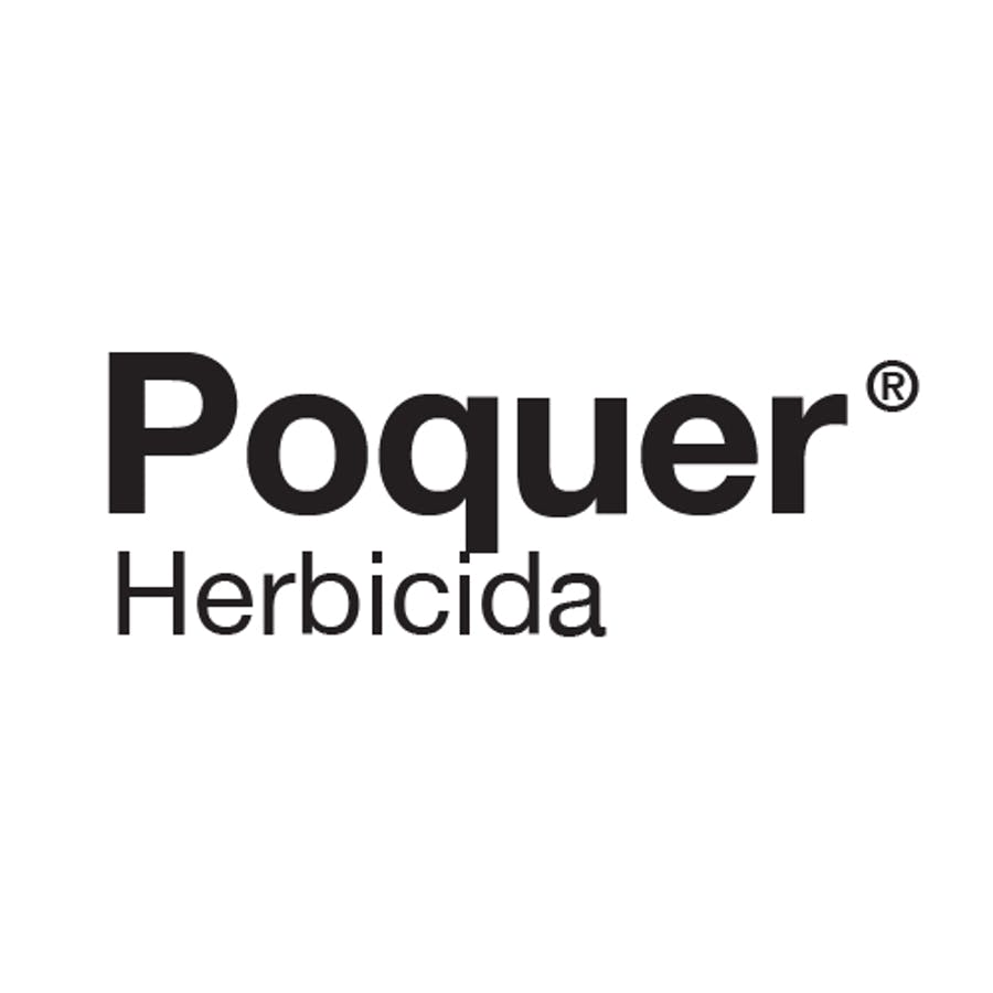 POQUER 4X5 LT