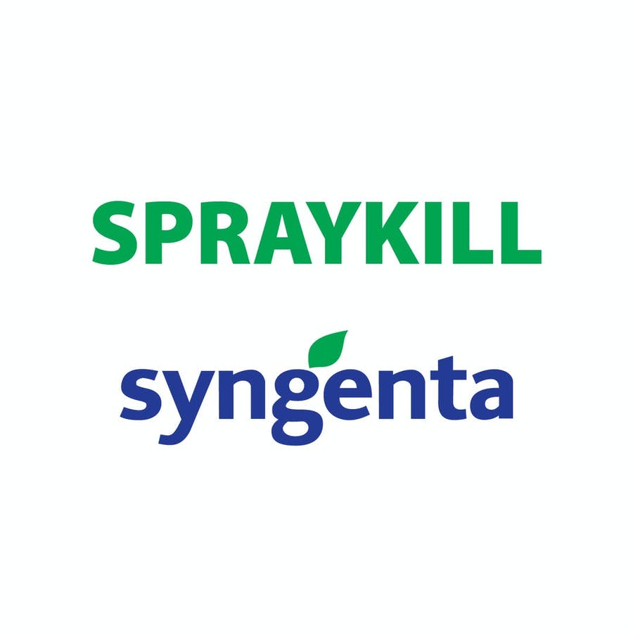 SPRAYKILL 20 LT