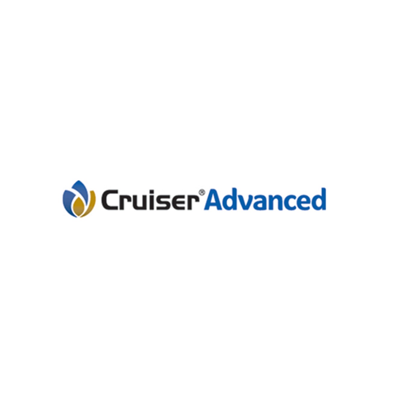 CRUISER ADVANCED 12X1LT