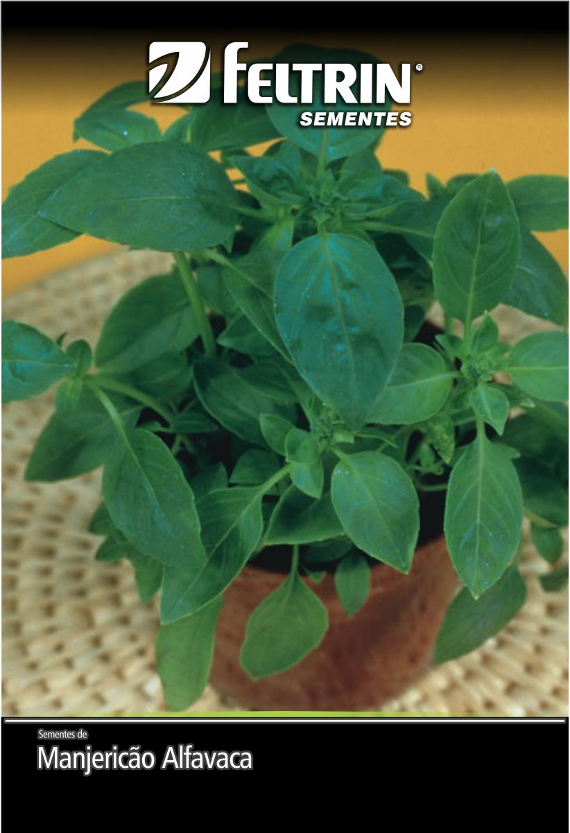 SEM TEMPERO MANJERICAO ALFAVACA - ECONOMICA