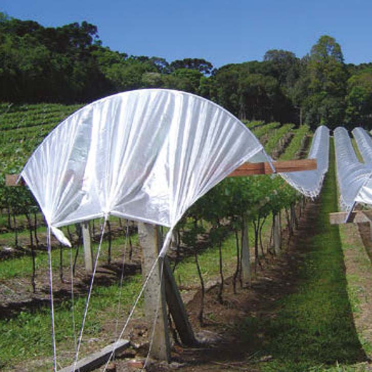 FILME AGROPLAS DIFUSOR CLEAN 3.00X100 150 MC S.E