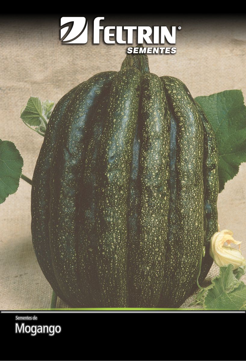 SEM ABOBORA MOGANGO SUL MINEIRO - BOX