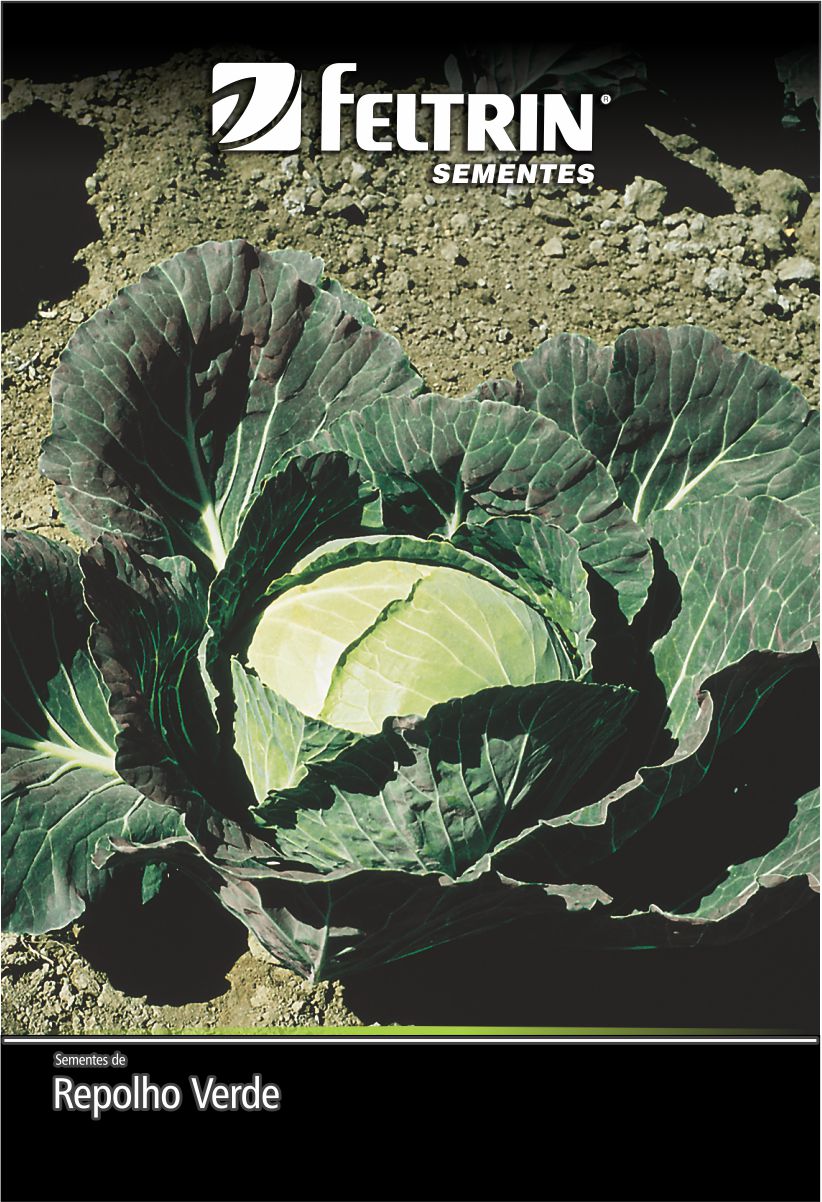 SEM REPOLHO CHATO DO QUINTAL - ECONOMICA