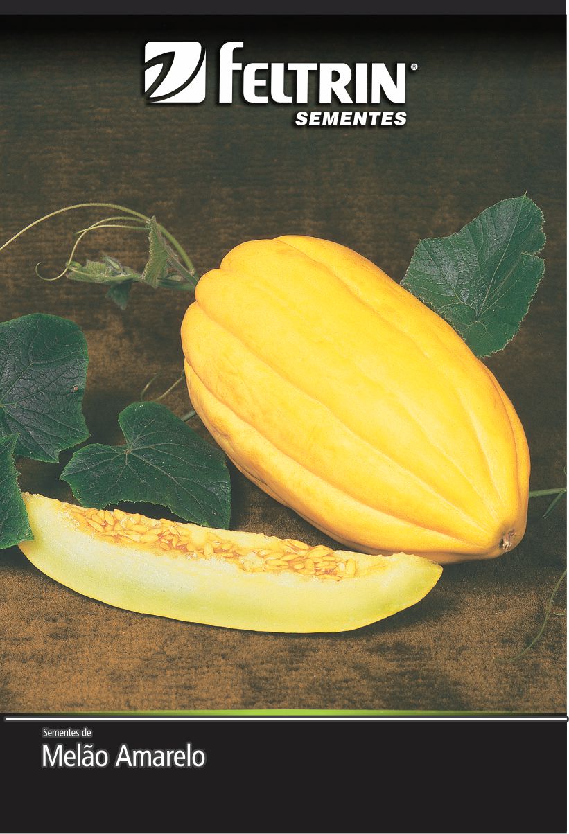 SEM MELAO GAUCHO CASCA DE CARVALHO MELHORADO - BOX