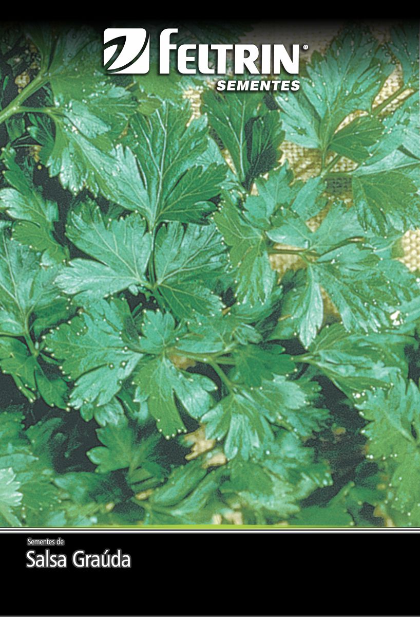 SEM SALSA GRAUDA PORTUGUESA NOVA SELECAO - ECONOMICA