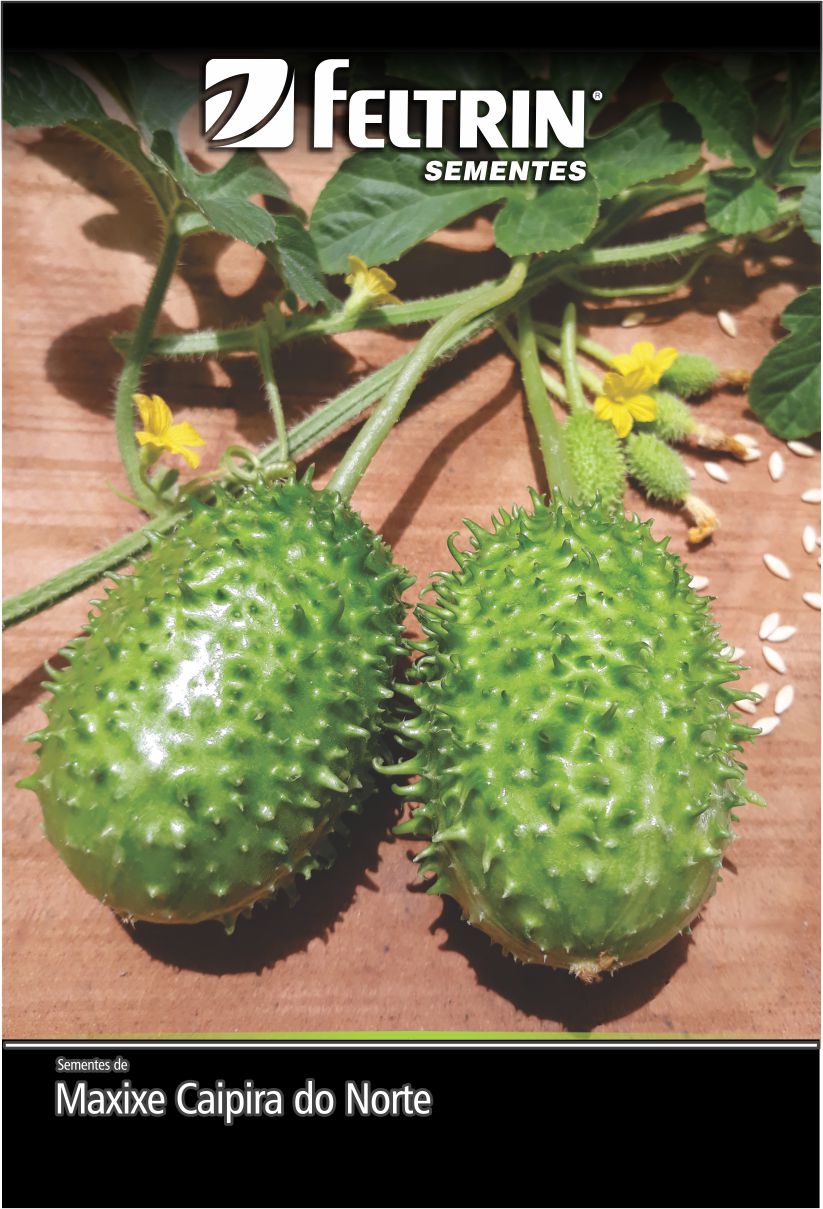 SEM MAXIXE DO NORTE - BOX