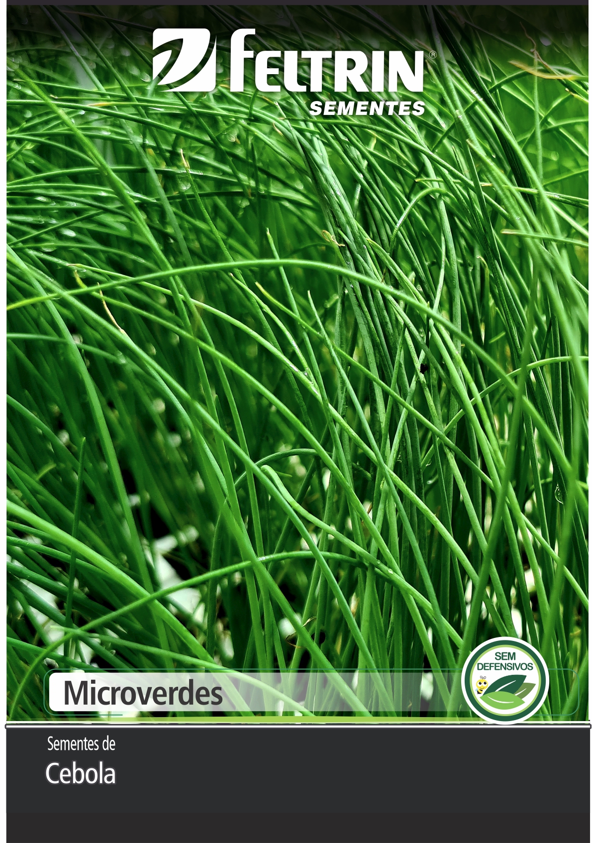 SEM CEBOLA BAIA HERVAL 100 G