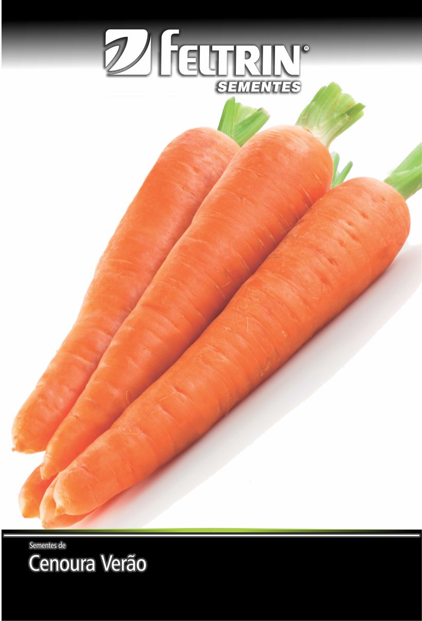 SEM CENOURA BRASILIA IRECE - GOLDEN