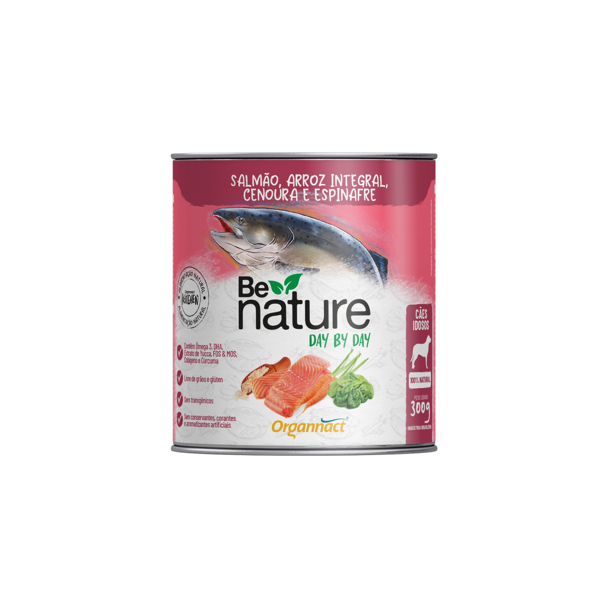 BE NATURE DAY CAES IDOSOS SABOR SALMAO 300G