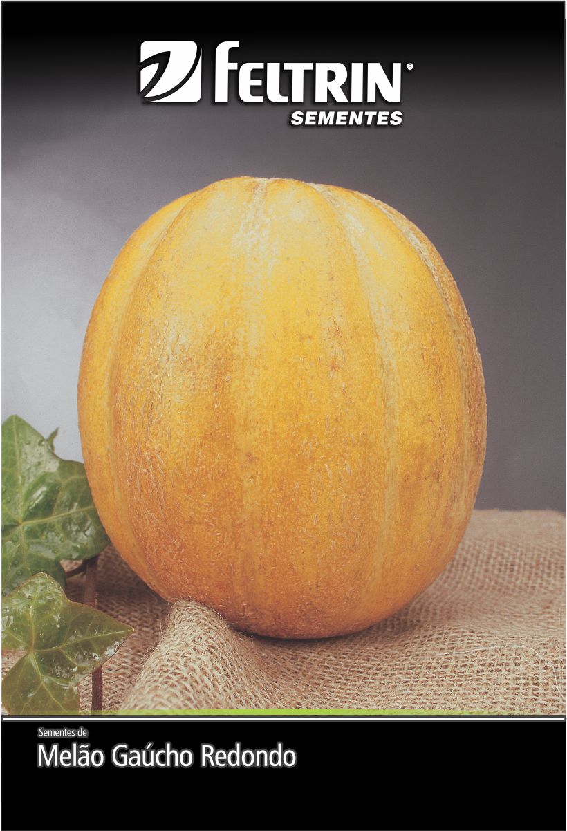 SEM MELAO GAUCHO REDONDO CONESUL - GOLDEN