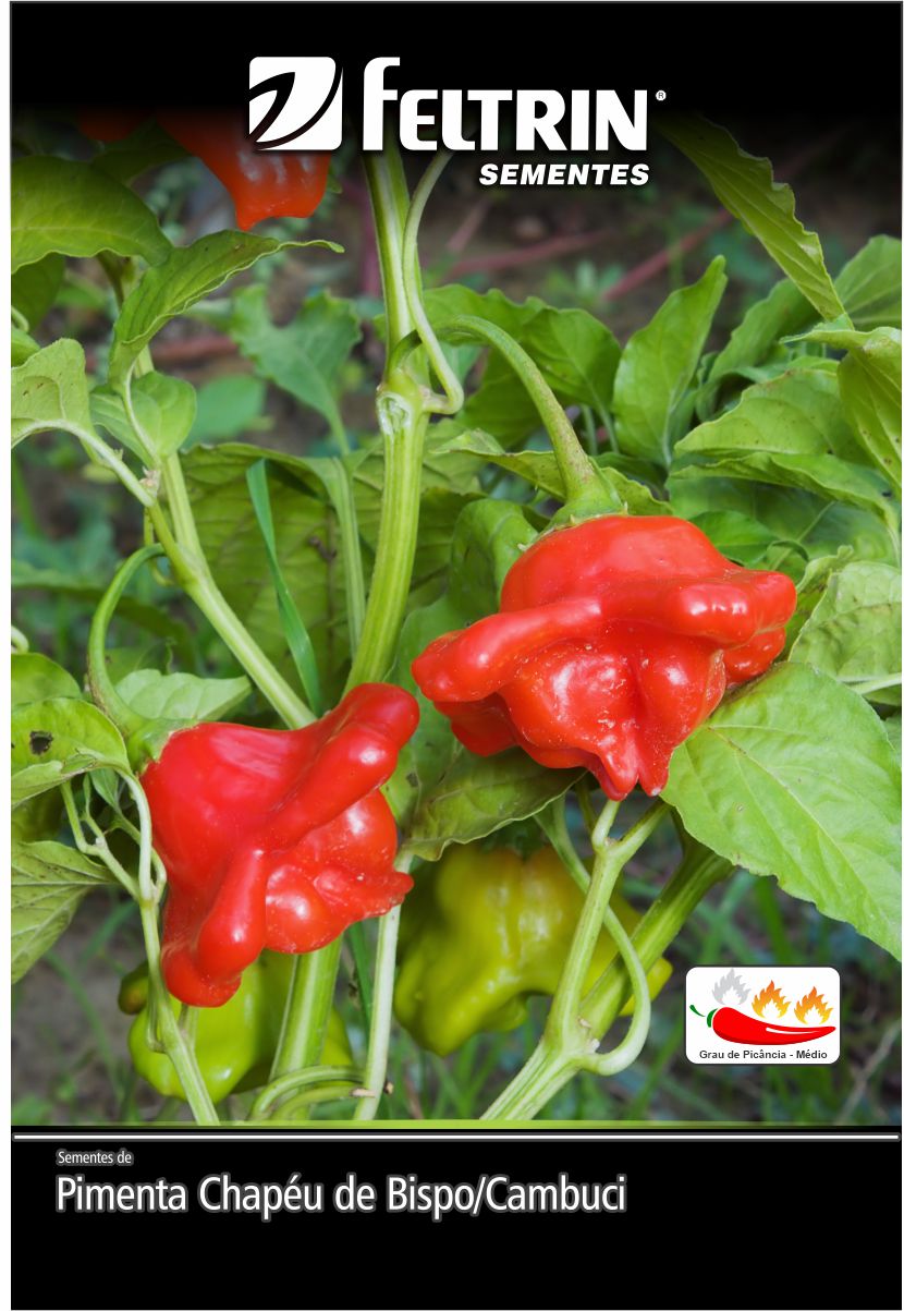 SEM PIMENTA CHAPEU DE BISPO CAMBUCI - ECONOMICA