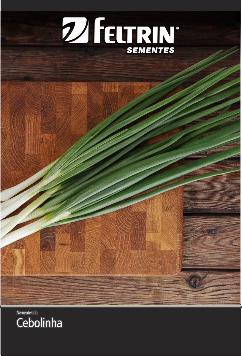 SEM CEBOLINHA TODO ANO EVERGREEN NEBUKA - GOLDEN