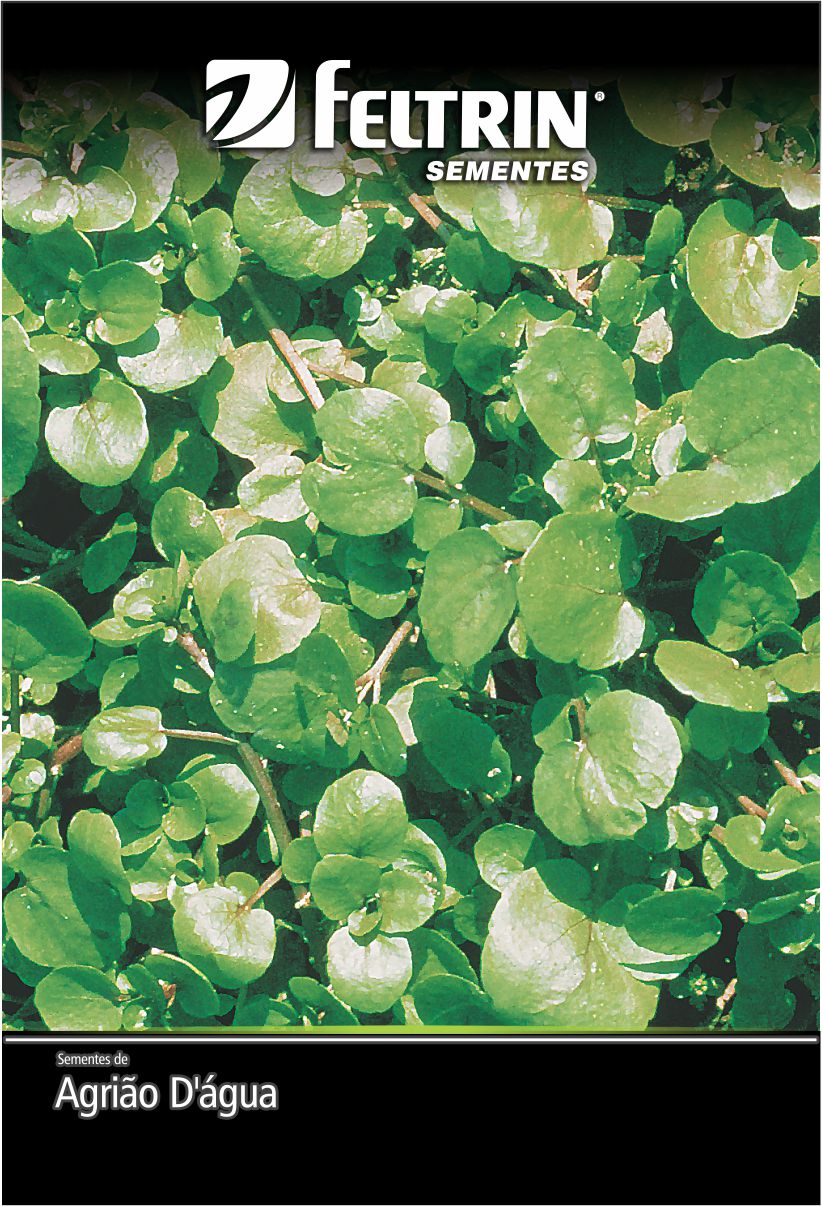 SEM AGRIAO LUMIAR - GOLDEN