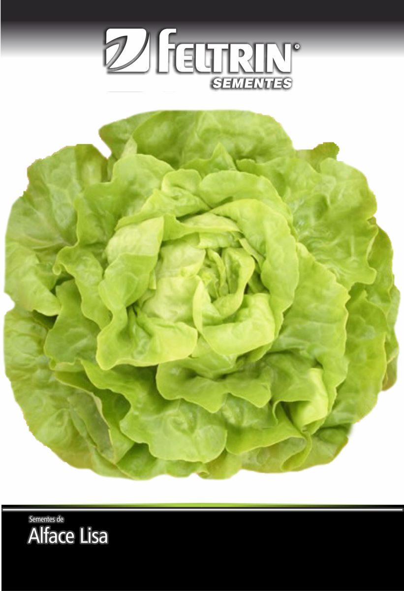 SEM ALFACE STELLA-MANTEIGA - GOLDEN