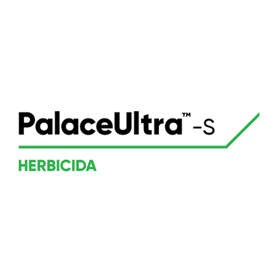 PALACE ULTRA S 1X20 LT