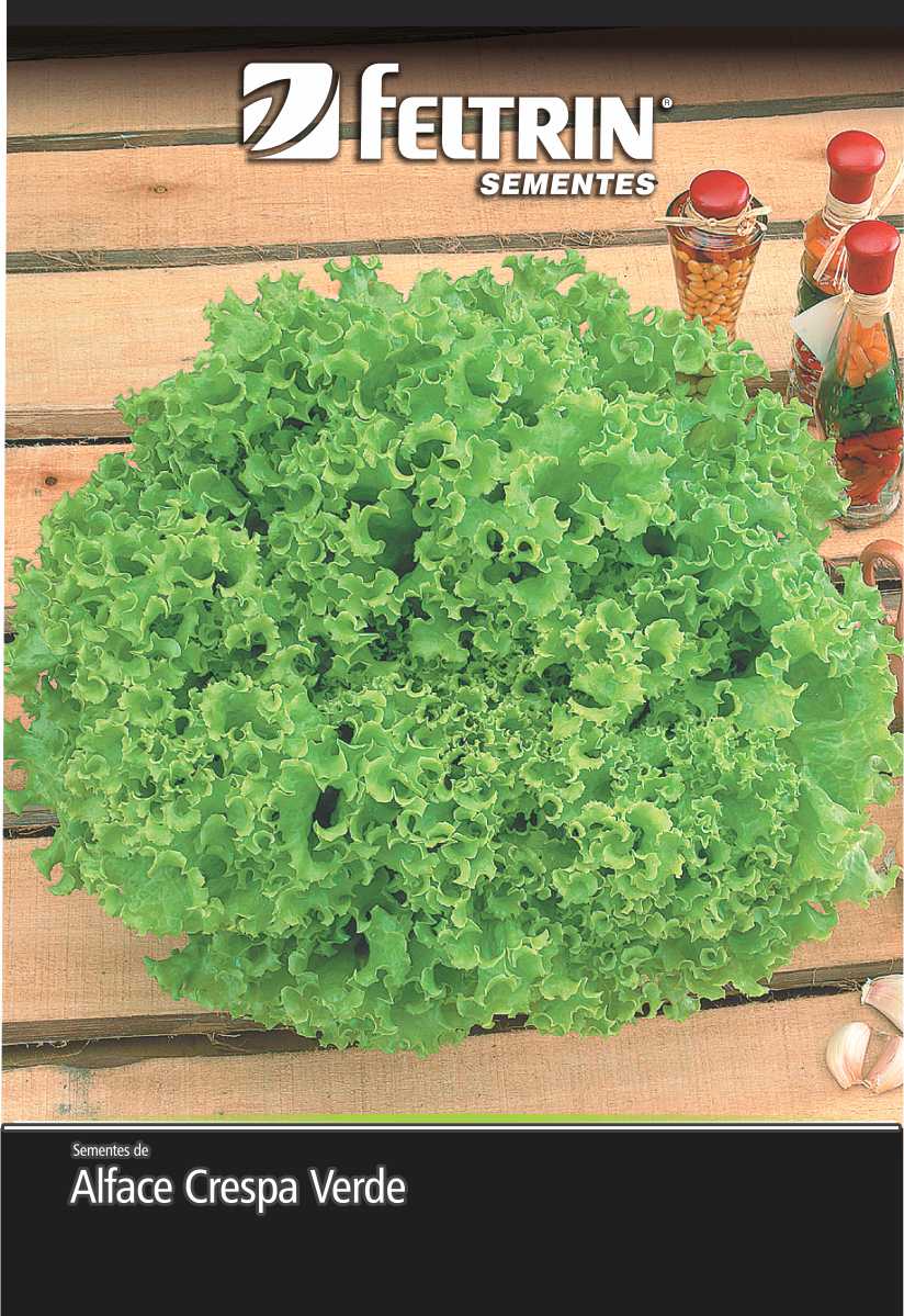 SEM ALFACE VENERANDA - GOLDEN