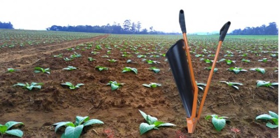 PLANTADEIRA DE FUMO MANUAL PICA PAU BOCA DE ENTRADA LATERAL