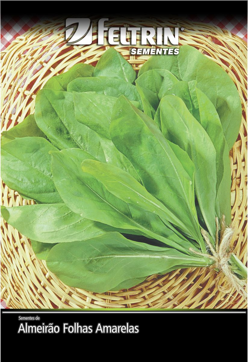 SEM ALMEIRAO FOLHAS AMARELAS - GOLDEN