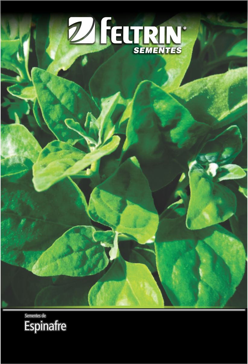 SEM ESPINAFRE NOVA ZELANDIA - GOLDEN