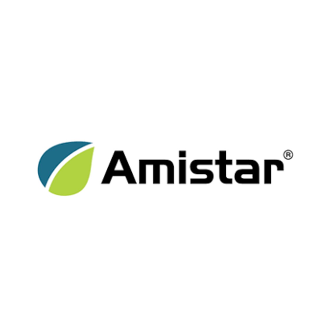 AMISTAR WG 22X100 GR