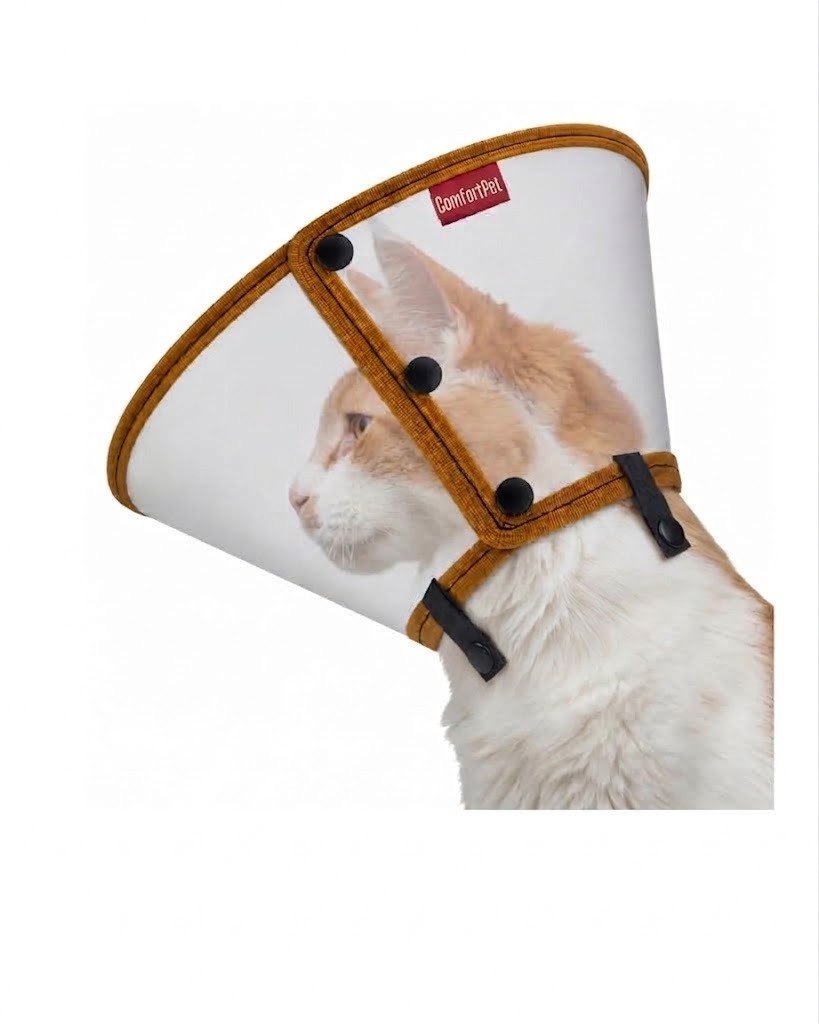 COLAR ELIZABETANO PREMIUM GATOS G