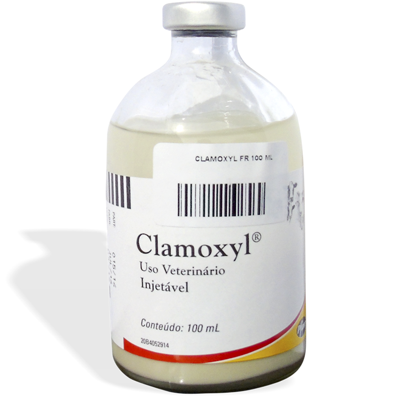 CLAMOXYL 100 ML