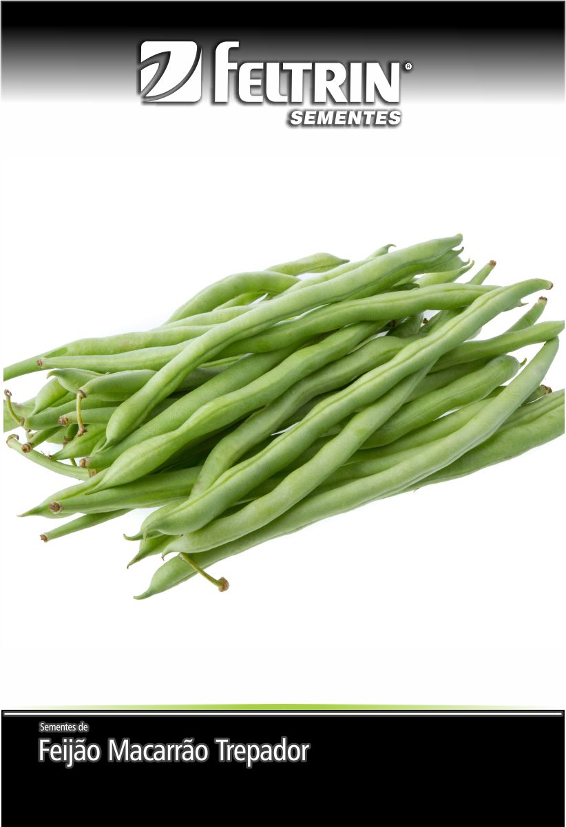 SEM FEIJAO TEMPESTA - ECONOMICA