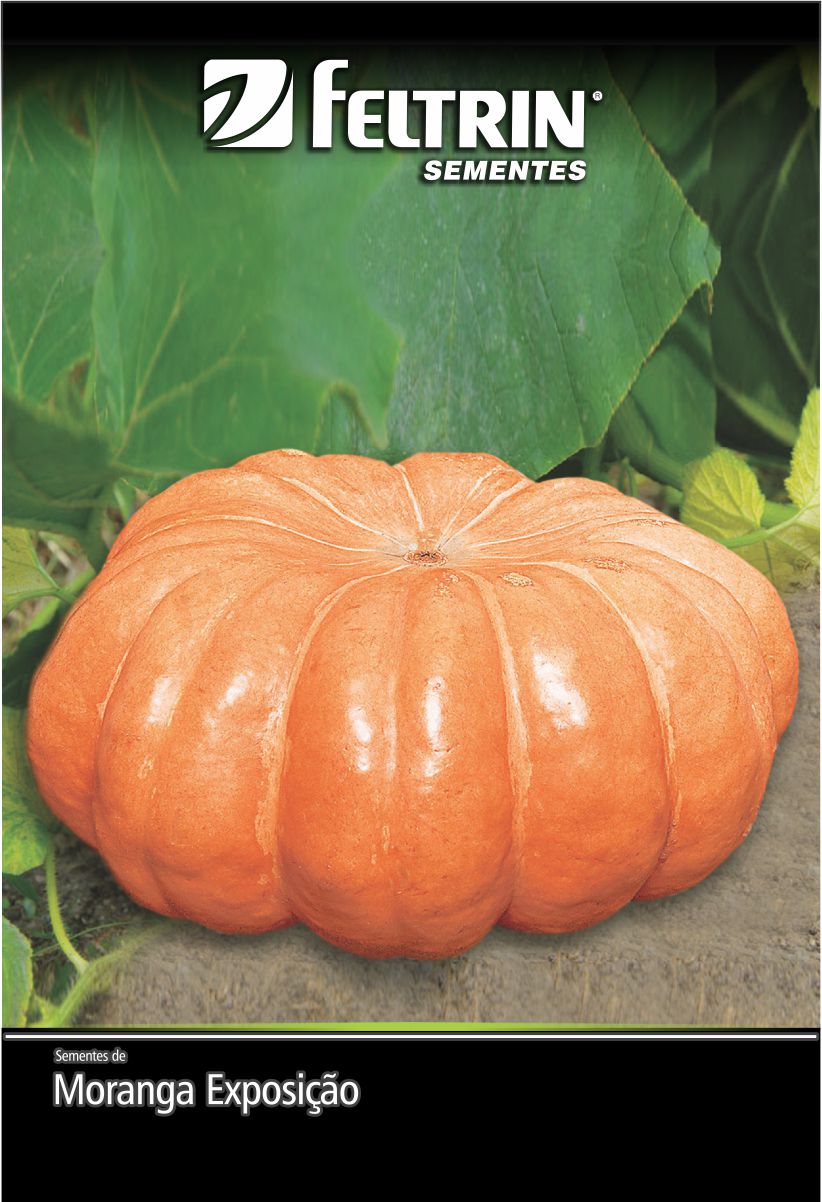 SEM MORANGA EXPOSIÇÃO - GOLDEN