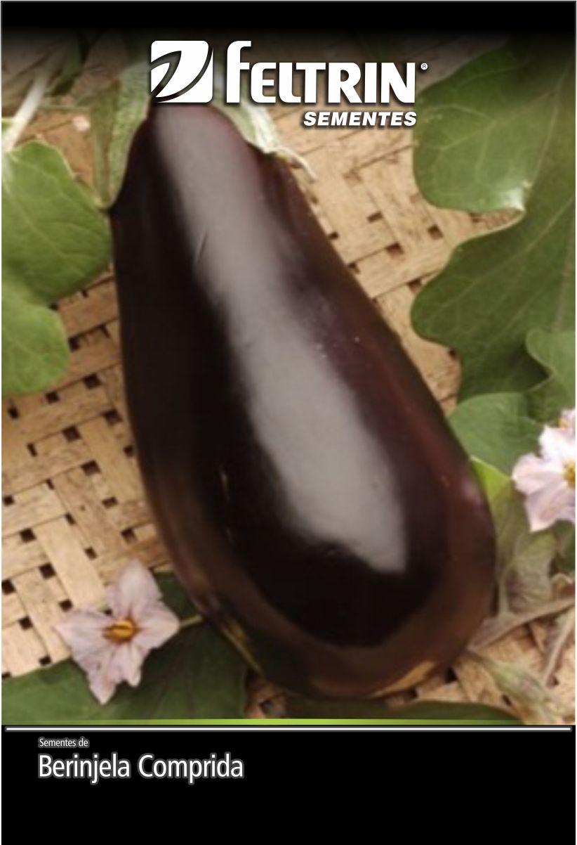 SEM BERINJELA EMBU - GOLDEN