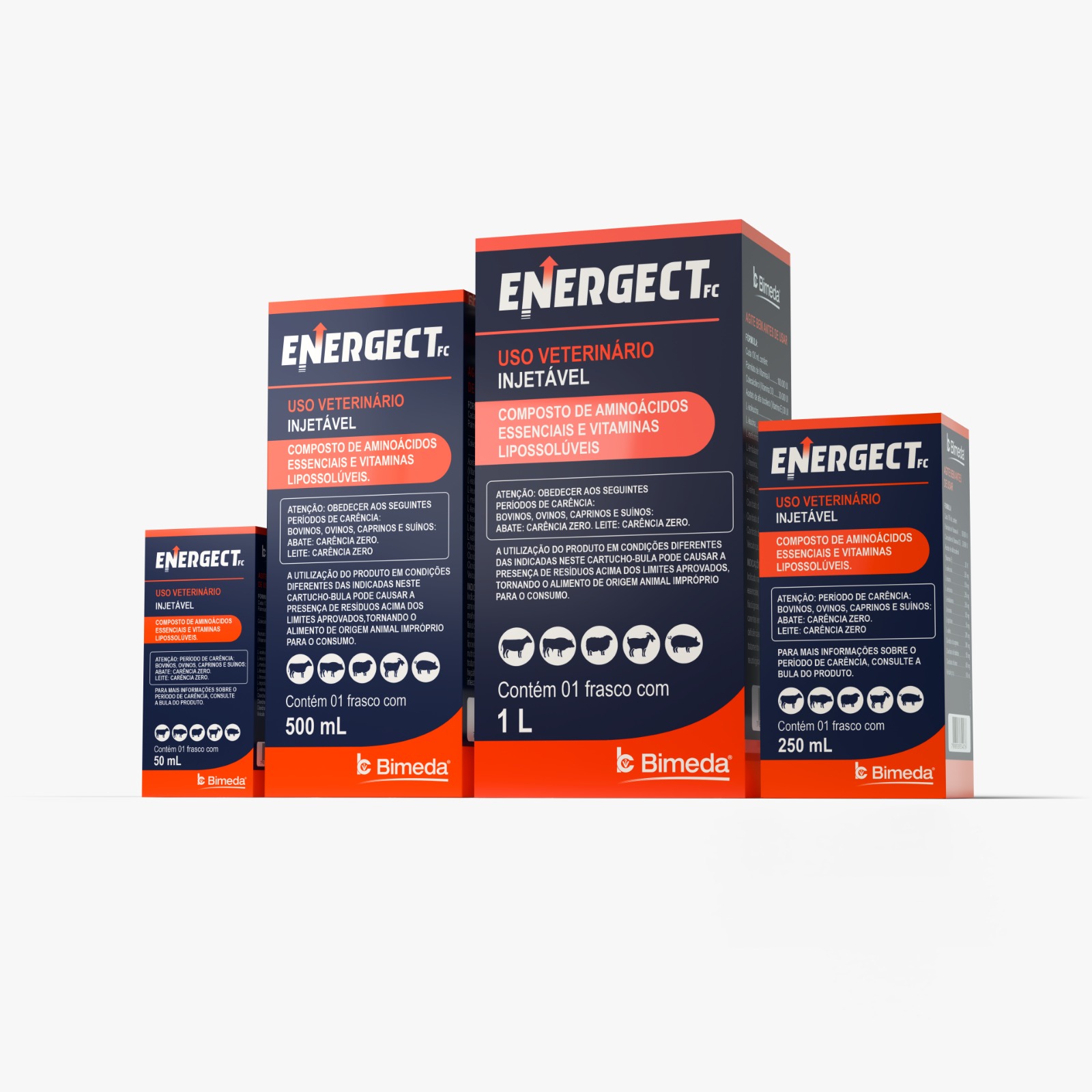 ENERGECT FC 250ML
